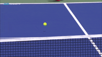 Sport Smash GIF by Tennis TV