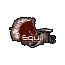 Equieffe Equestrian Centre Sticker