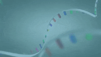 Rna GIF