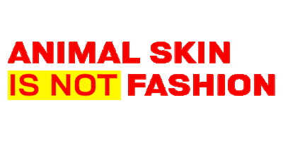 Action for Liberation Sticker