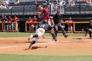SouthernMissAthletics baseball slide safe golden eagles GIF