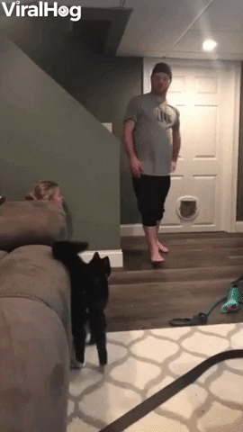 Family Having Fun Scaring Each Other GIF by ViralHog