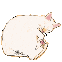Cat Justin Sticker