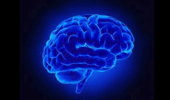 Throbing Blue Brain Colin Stewart Jones GIF