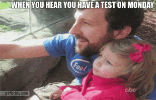 What I Want To Do To Teachers On Monday GIF