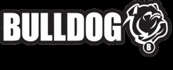 Bulldog GIF