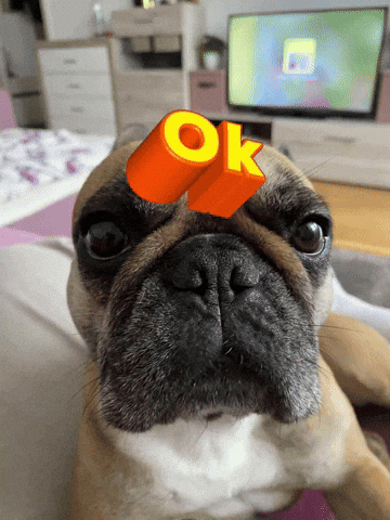 Frenchi Ok GIF