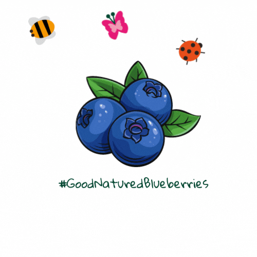 GoodNaturedBerries healthy fruit butterfly bee GIF