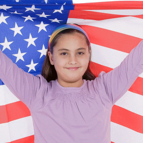 American Flag Usa GIF by missoandfriends