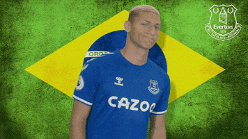 Premier League Brazil GIF by Everton Football Club