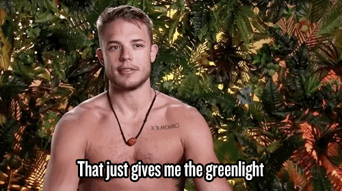 greenlighter meme gif