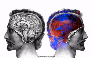 Brain Pamela Chougne GIF