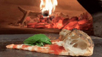 Francesco GIF
