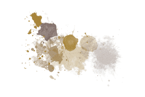 Fayette Sticker by Gekko Group