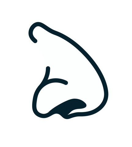 Visit Turku Archipelago Sticker