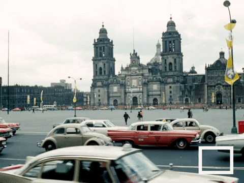 Mexico City GIF by Beeld en Geluid - Find & Share on GIPHY