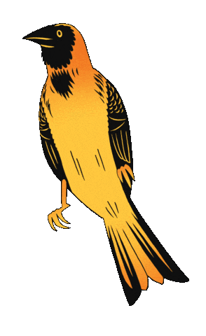 Francofolies de la Réunion Sticker