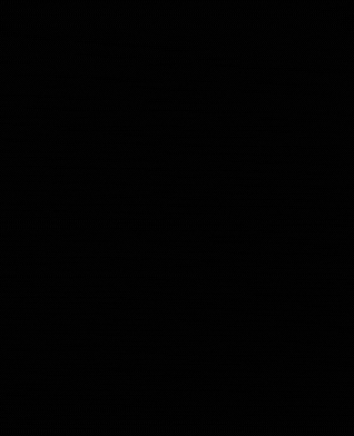S2G GIF