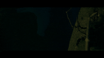 New Zealand Hello GIF by End Of The Valley