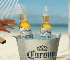 Corona Beer Beach GIF by Corona USA