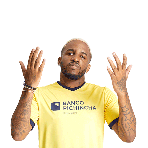 Banco Pichincha Perú Sticker