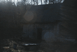 magdalenakraszewska  GIF