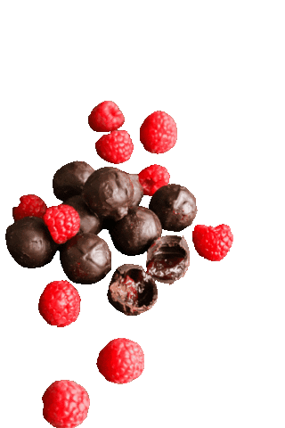 Baylanistanbul Sticker by Baylan