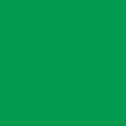 Happy St Patricks Day GIF by Smart Apartment Solutions