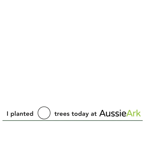 Planting Plantingtrees GIF by Aussie Ark