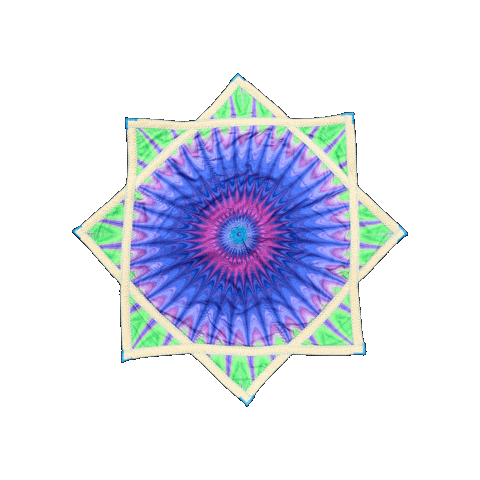 spinflowstar Sticker
