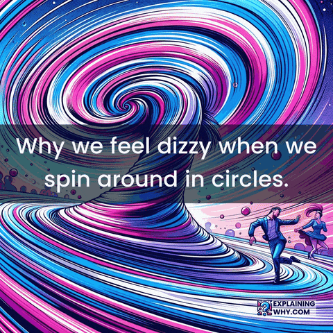 Going Around In Circles Balance GIF by ExplainingWhy.com