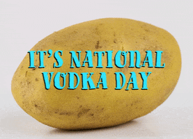 National Vodka Day GIF by Sealed With A GIF