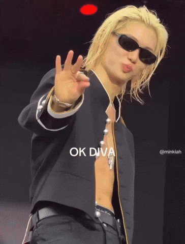 Stray Kids Ok GIF