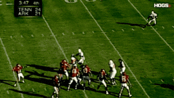 Football 90S GIF by Hogs+