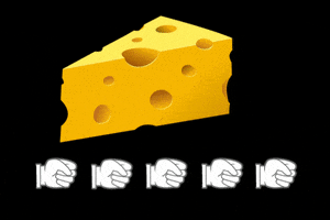 health cheese GIF by TIME