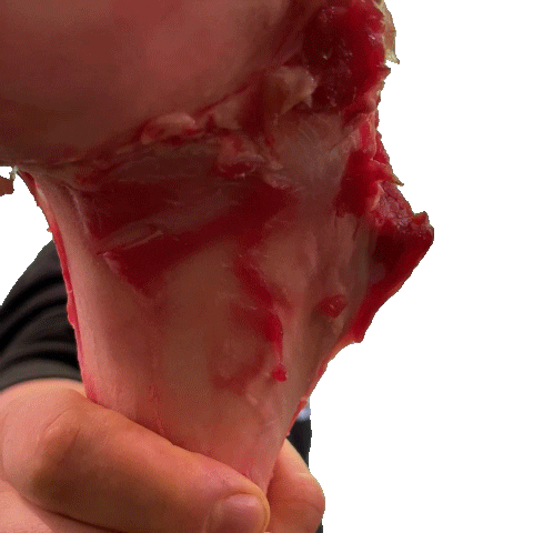 Macelleria da Mauro - the Barbecue House Sticker