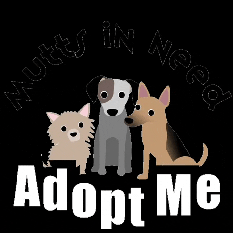 Dogs Adopt Me GIF by Sam Give the Dog a Ball