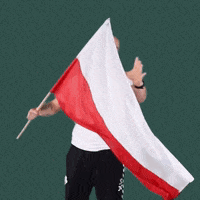 National Team Flag GIF by Aluron CMC Warta Zawiercie