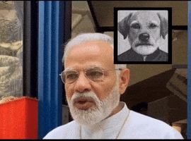 Breaking News Bollywood GIF