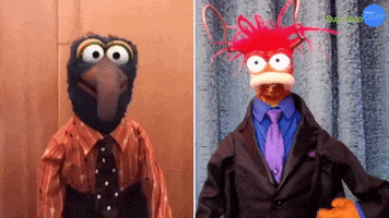 The Muppets GIF by BuzzFeed