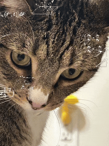 Confused Math GIF