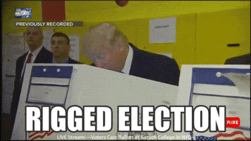 olivertapia donald trump election day melania rigged election GIF