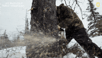 Tree Cutting GIFs