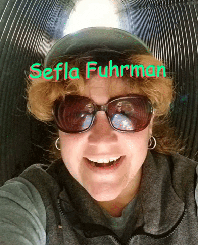 Sefla Fuhrman On Youtube GIF