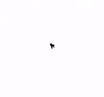 Misspaneer GIF