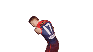 Melbourne Demons Golf Sticker by Melbournefc