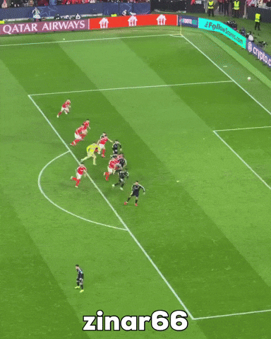 Benfica GIF