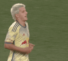 Come On Sport GIF by Major League Soccer