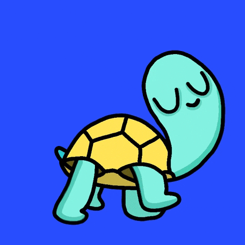 Cute tortoise GIFs Get The Best GIF On GIPHY Cute tortoise GIFs Get The Best GIF On GIPHY