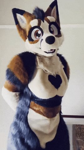 Furry GIF